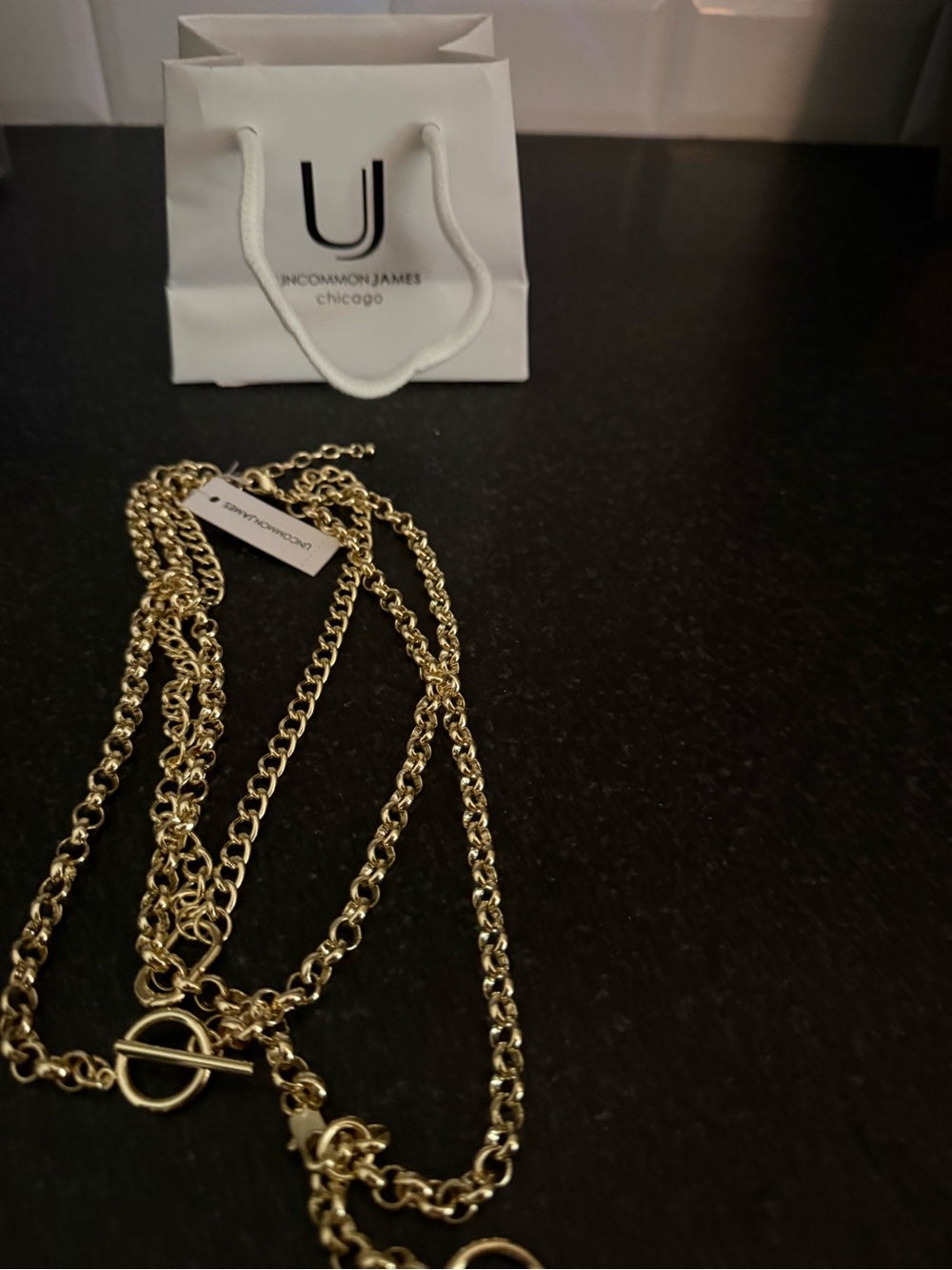 Uncommon James Gold Toggle Layered Chain Necklace